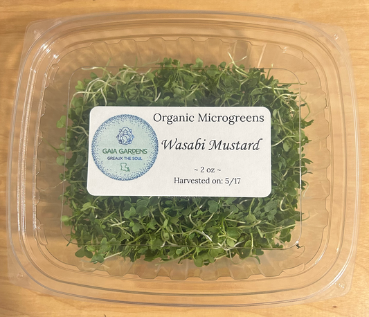 Wasabi Mustard Microgreens